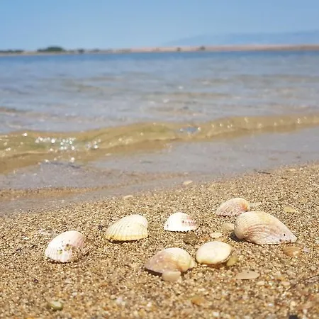 Soldinn Privlaka (Zadar)