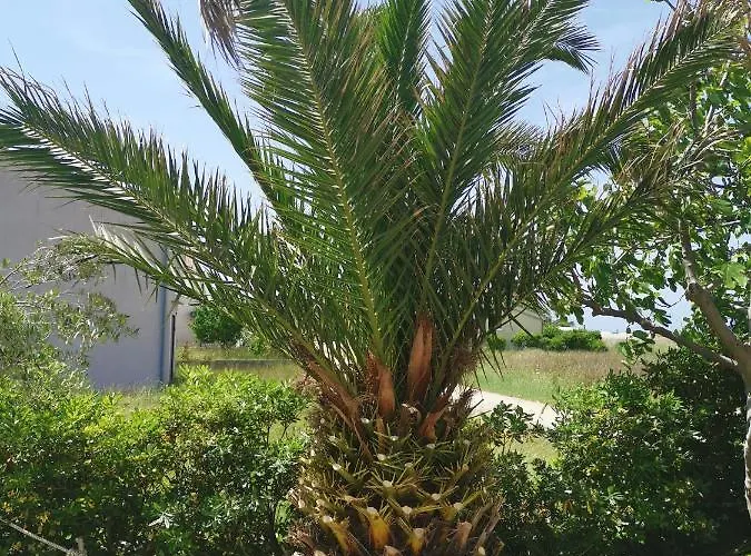 Soldinn Privlaka (Zadar)