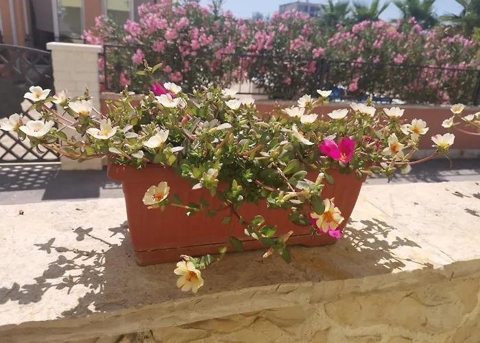 Soldinn Apartmán *