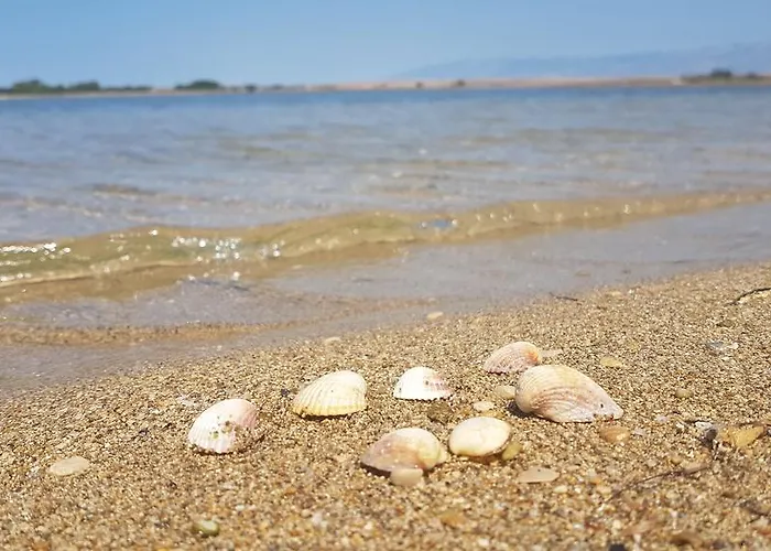 Soldinn Privlaka (Zadar)