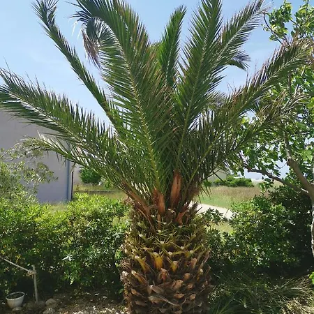 Soldinn Privlaka (Zadar)